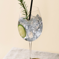 FESTIVE GIN CLUB: WITH THE GINFLUENCERS